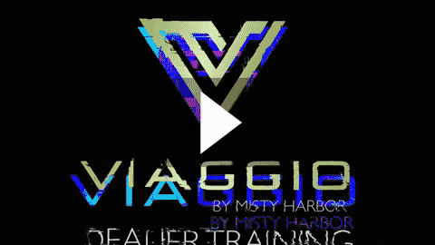 Viaggio Dealer Training